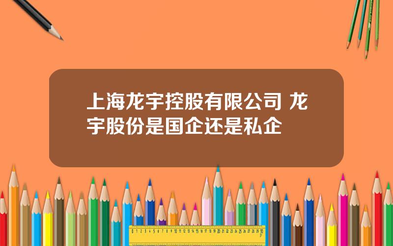 上海龙宇控股有限公司 龙宇股份是国企还是私企